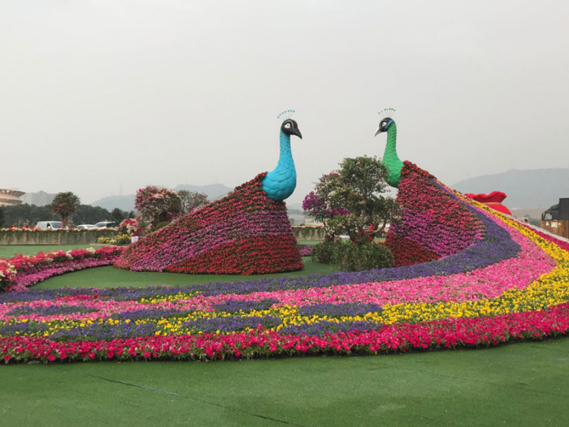 云南錦苑花卉——花展園藝美陳設(shè)計